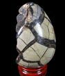 Septarian Dragon Egg Geode - Black Crystals #83390-2